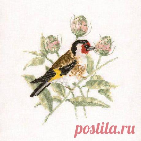 Птички-невелички: Gold Finch.