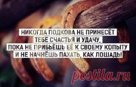 * * * * * * * * * * * *