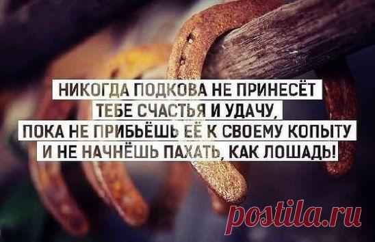 * * * * * * * * * * * *