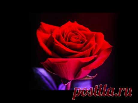 Зажигательные песни Аж до мурашек Остановись постой Сергей Грищук... Самая красивая мелодия в мире