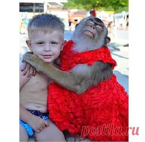 Невестка глазами свекрови!!!)))