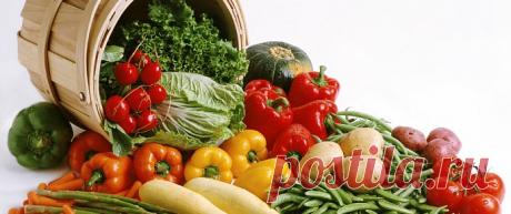 Интернет-магазин «Сад-Эксперт» – купите семена и товары для дома и сада с доставкой!