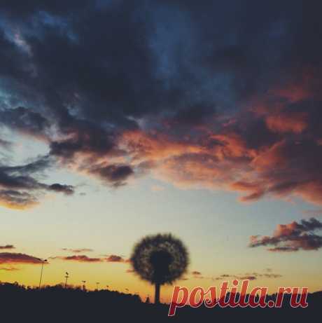 Хорошего человека узнать легко: у него печаль в сердце и улыбка на лице. Гилберт Честертон