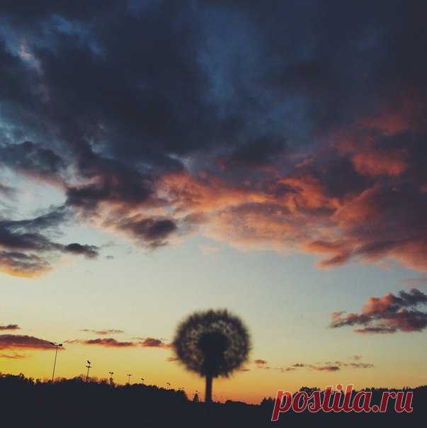 Хорошего человека узнать легко: у него печаль в сердце и улыбка на лице. Гилберт Честертон