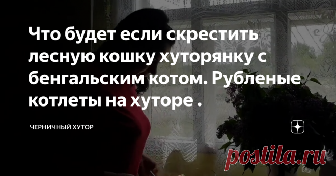 Что будет если скрестить лесную кошку хуторянку с бенгальским котом. Рубленые котлеты на хуторе .