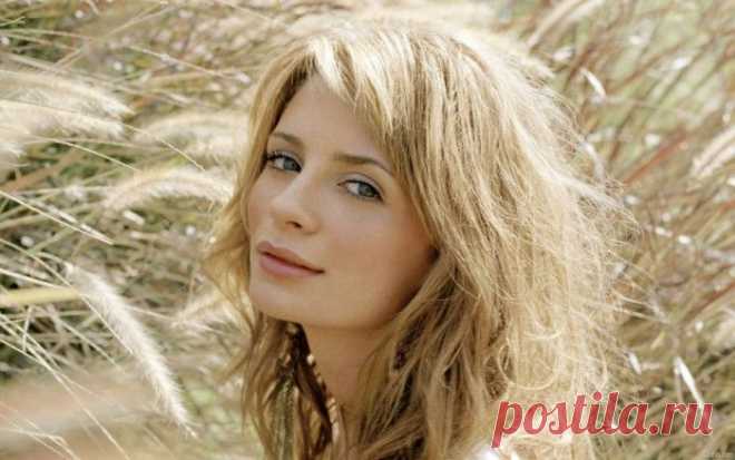 Николай Алексеевич Заболоцкий. Такие разные стихи