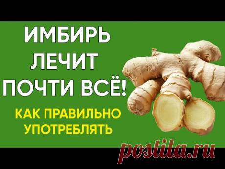 Имбирь — целебная сила! Как правильно употреблять