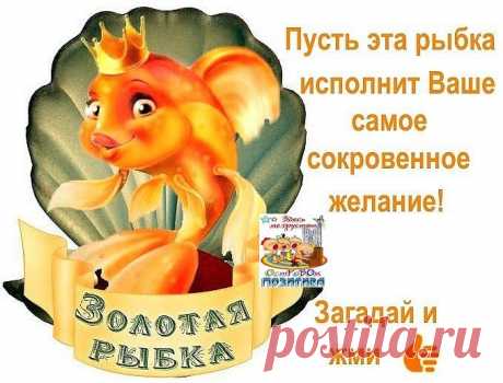 (99) Одноклассники