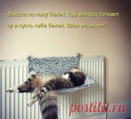 Интересные новости