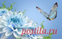 Цветы - обои на рабочий стол.