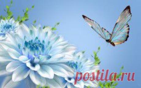 Цветы - обои на рабочий стол.