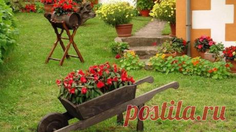 Азы проектирования дачного участка.