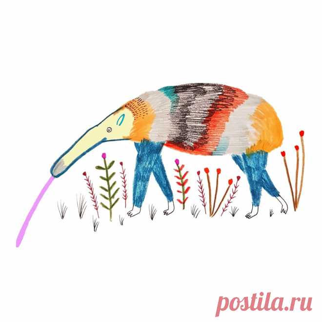 Children's illustrations - nursery art - kids decor - art prints - wall decor - illustrator - wall art - nursery room - animal art - ant eater - hire an illustrator - art for kids - Ashley Percival Illustration