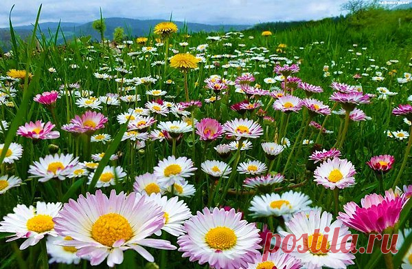 Интересные новости