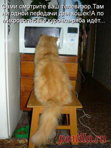 Новости