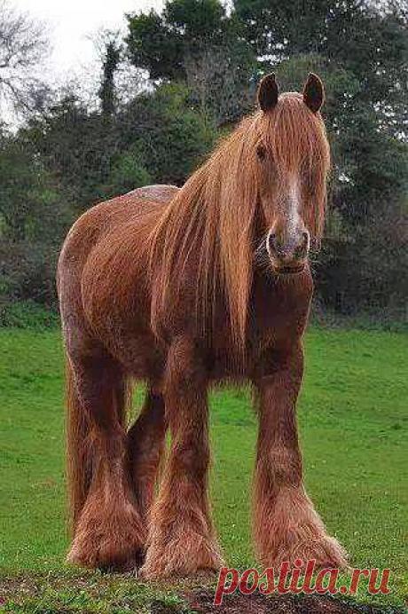 устал работяга...