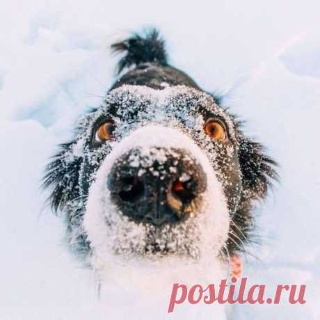 Привет!