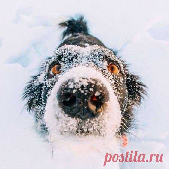 Привет!