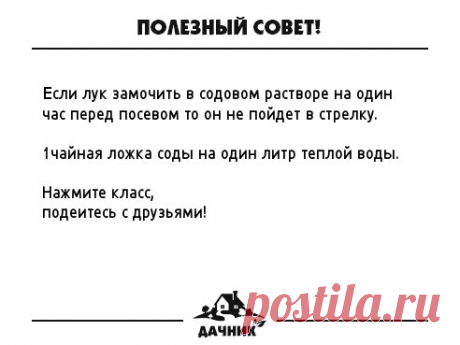 (54) Одноклассники