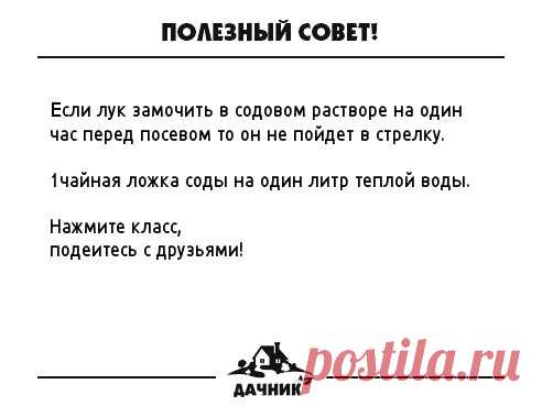 (54) Одноклассники
