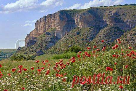 Горный пейзаж