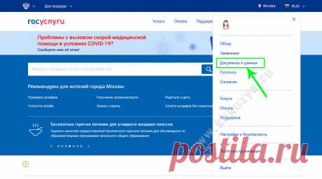 Как подключить уведомления о положенных человеку льготах на Госуслугах? Инструкция здесь