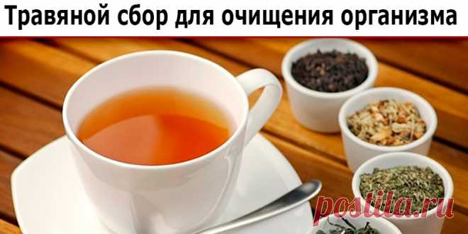 Травяной сбор для очищения организма | Полезные советы