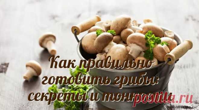 Как правильно готовить грибы: секреты и тонкости