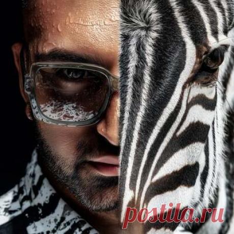 M.Hustler, Color Zebra - Low (Extended Mix) | Progonlymusic M.Hustler, Color Zebra - Low (Extended Mix). BPM: 125. Key: Gm. Listen new music on Progonlymusic.