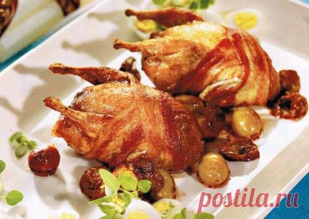 Куропатки фаршированные (Старорусский рецепт)

Переела, куропатки, гуси — вот птицы, из которых обычно готовились оригинальные блюда старорусской кухни. Их запекали кусочками и целиком, тушили, обжаривали, а на праздники фаршировали. Особенно популярными были фаршированные куропатки. Красиво украшенное блюдо, подавалось эффектно к праздничному столу и выглядело невероятно аппетитно.
Показать полностью…