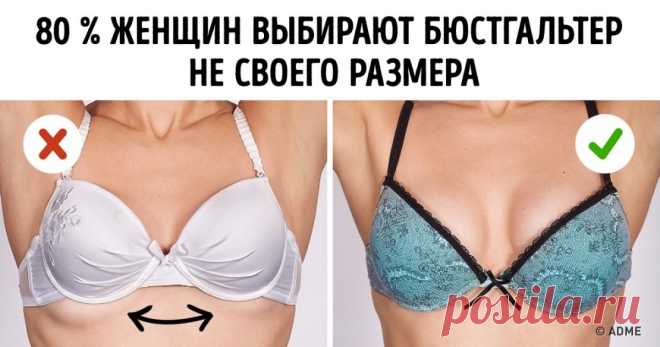Шпаргалка: как выбрать идеальный бюстгальтер