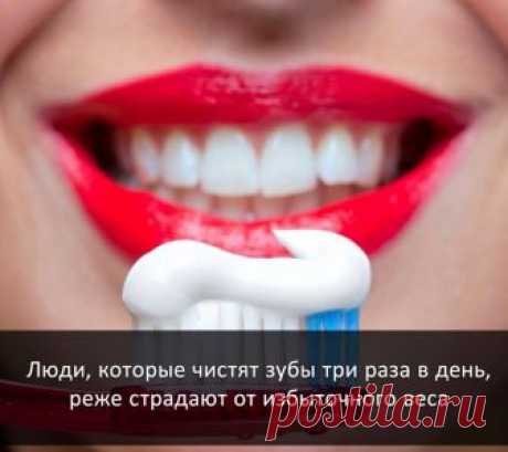 (1) Интересные факты и истории - Фото