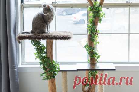 Make a Cat Tree Using Real Branches // My Amazing DIY Cat Tree Learn how to make a cat tree using real branches! This natural-looking cat tree actually looks like a home decor item...and my babies love it!