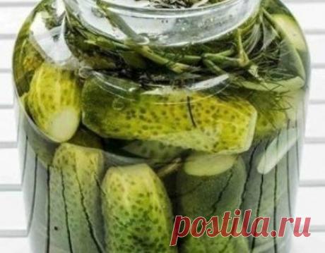 Малосольные огурцы: топ 5 рецептов приготовления | Кулинарные рецепты