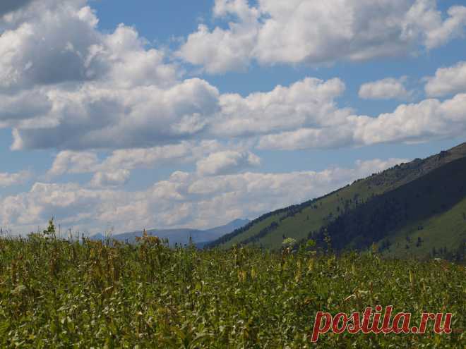 Красота.