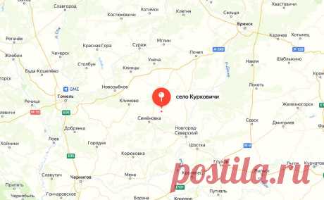 Дрон атаковал село Курковичи в Брянской области. Украинский дрон-камикадзе атаковал село Курковичи в Брянской области, пострадавших нет, сообщил губернатор Александр Богомаз.