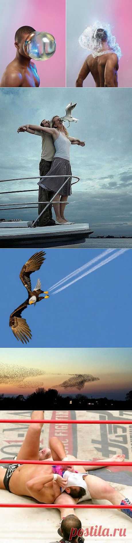 Случайно-удачные фотографии