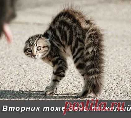 Стена