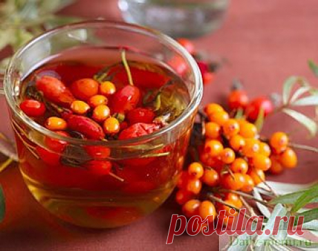 Укрепляющий чай на ягодах и травах - Рецепты пользователя Edel Weiss - Daily-menu.ru