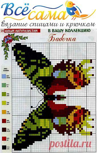 Бабочка - Схема для вышивания крестиком - Схемы вышивки бабочек