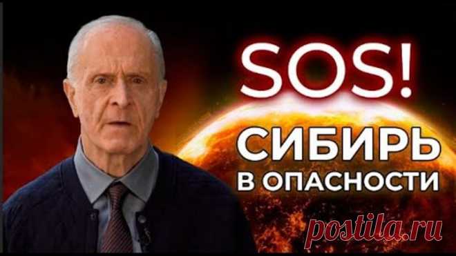 Сибирь в опасности !
