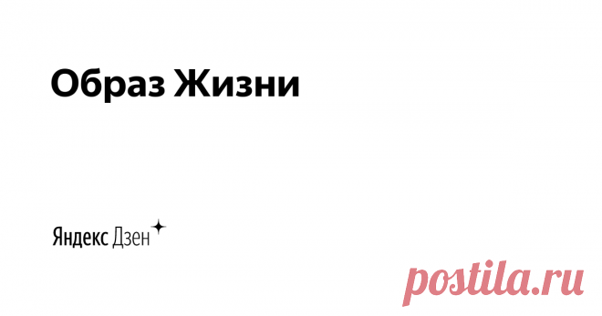 Образ Жизни | Яндекс Дзен