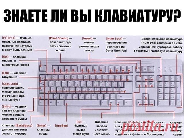 ЗНАЕТЕ ЛИ ВЫ КЛАВИАТУРУ НА СВОЁМ КОМПЬЮТЕРЕ?
F1— вызывает «справку» Windows или окно помощи активной программы. В Microsoft Word комбинация клавиш Shift+F1 показывает форматирование текста;
F2— переименовывает выделенный объект на рабочем столе или в окне проводника;
F3— открывает окно поиска файла или папки на рабочем столе и в проводнике. Комбинация клавиш Shift+F3 часто используется для поиска в обратном направлении;
F4— открывает выпадающий список, например, список стр...