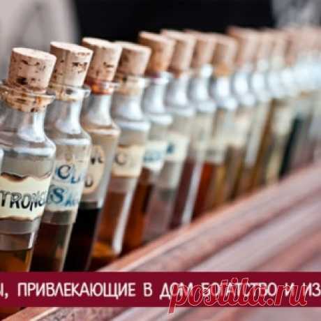 Ароматы, привлекающие в дом богатство и изобилие - МирТесен