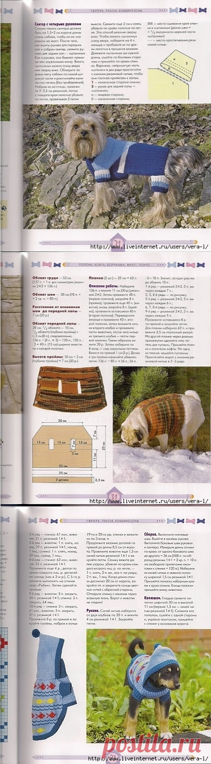 Вязаная одежда для собак 2010