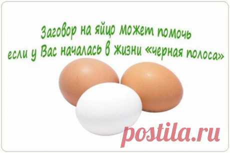 (48) Одноклассники