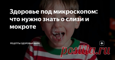 Здоровье под микроскопом: что нужно знать о слизи и мокроте Статья автора «Рецепты здоровья мира       » в Дзене ✍: Мы вспоминаем о слизи только тогда, когда она становится ненормальной и вырывается из наших тел в виде липких выделений.