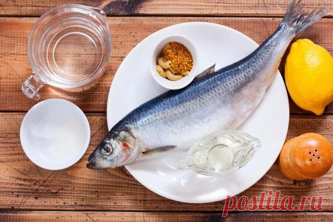 Два рецепта приготовления из простой селедки: понравится даже тем, кто никогда не любил данную рыбу | 🍰 Вкусные рецепты / Едим вкусно | Пульс Mail.ru