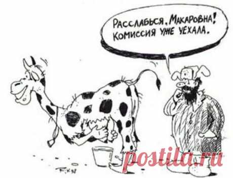 Интересные новости