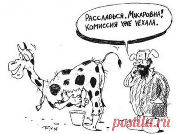 Интересные новости